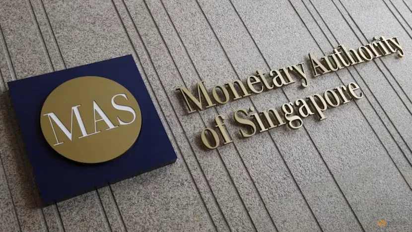 Singapore dollar banknotes arranged on a neutral background